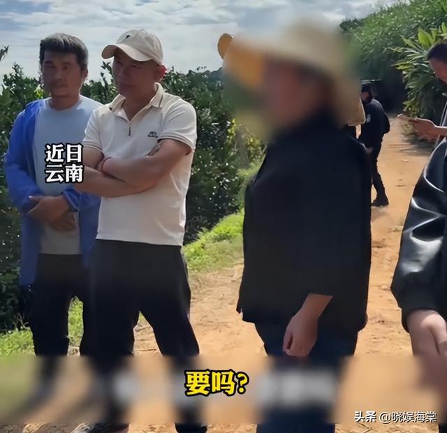 收冰糖橙被骗后续：坑人代办身份被扒，正面照曝光，官方通报来了