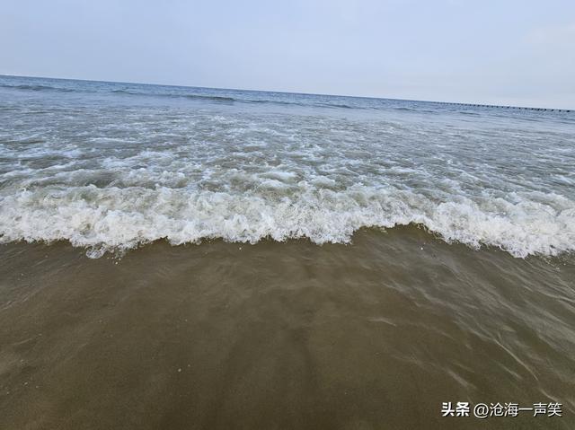 大海的世界，有童话有嬉戏，有欢笑有乐趣，有津津乐道、海阔天空