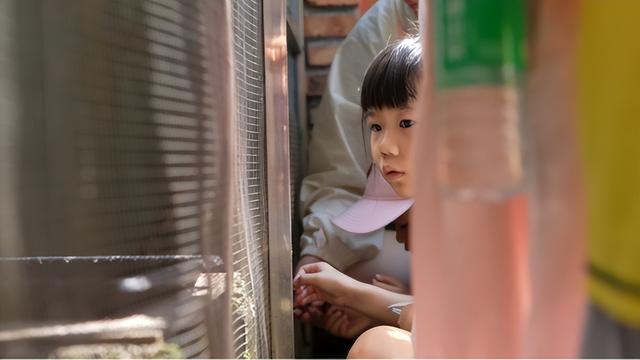 抓住暑期的尾巴！超多学子来到了鼎湖这里……