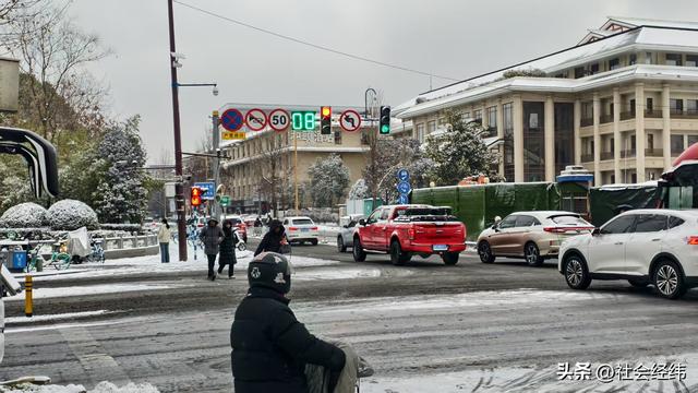 每日一景|大寒雪落金陵 明故宫梧桐披银 市民漫步享冬日诗意