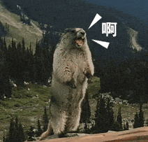 以为是与别人方便	，其实是给自己找麻烦！