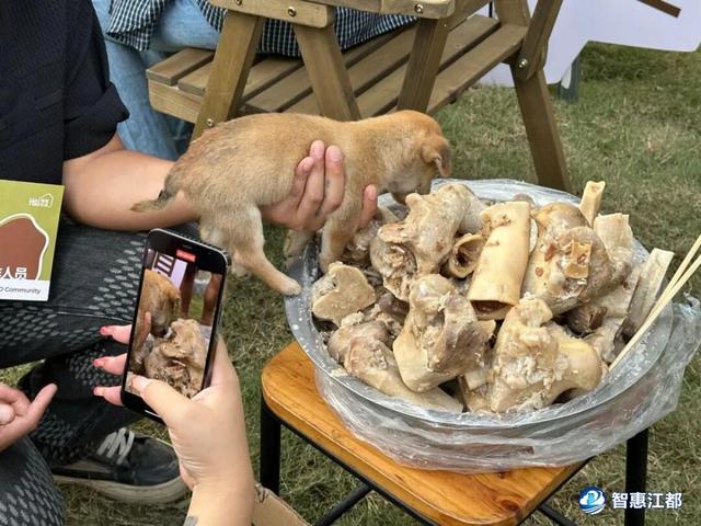 爆火！江都这里全是人，看看有你吗......