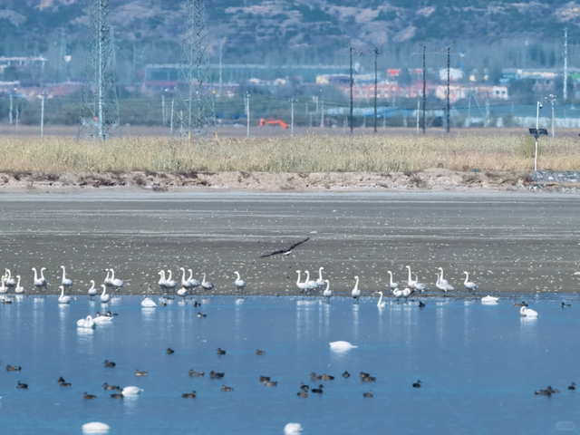 入冬啦！呼和浩特的这几处顶流打卡地必须去眊一眊！