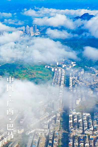 广西巴马县历史沿革及行政区划