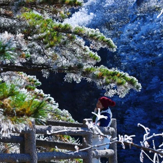 黄山初冬，打翻调色盘的绝美限定 | 皖美冬日