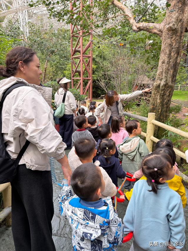 上海动物园的高颜值图鉴