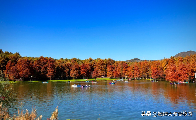 杭州“油画版景点”爆火，一天5万人次，可喂鹿，划船，走栈道！