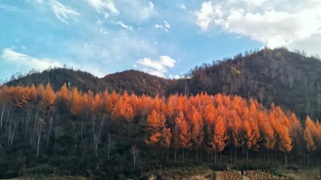 兰仓秋，染山河。