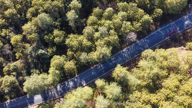我愿称腾冲为秋季的天花板!银杏、温泉、古镇,来过的人都不想走