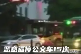 小车司机恶意逼停公交车15次，结果怎么样？图片