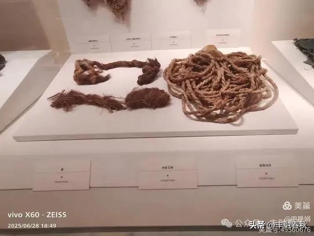 探秘丝路明珠,邂逅巴楚千年文明——走进新疆巴楚博物馆|申艳娟