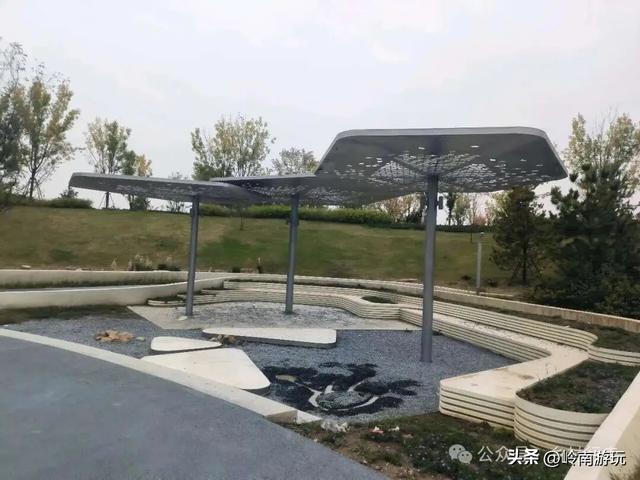 乘上地铁10号线到灞渭桥湿地公园，大片粉黛乱子草等着你打卡！