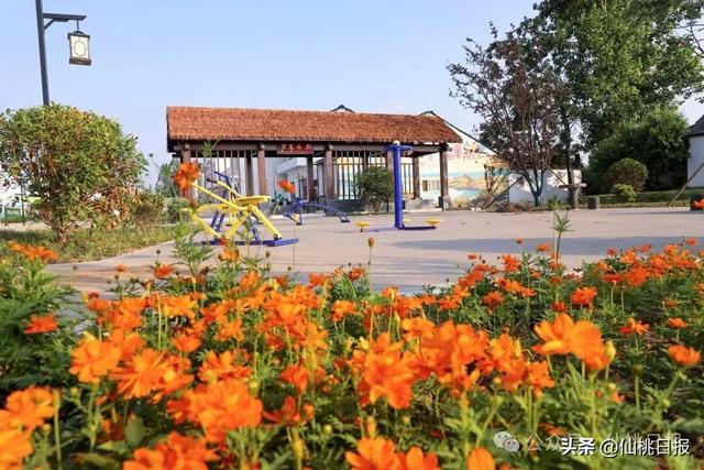 沙原渔村：好风景与好生活共“生长”