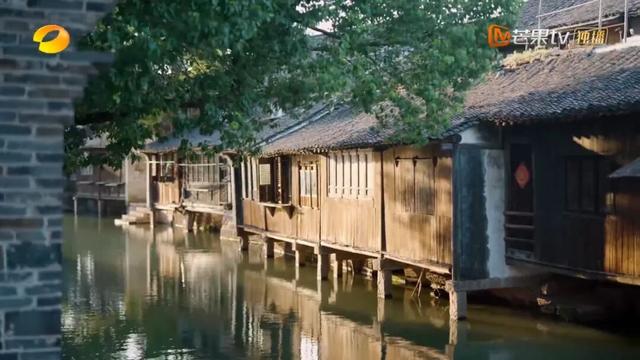 15年后，东栅，你变了吗？