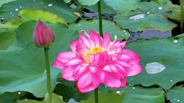 普洱，不止四季！🥰