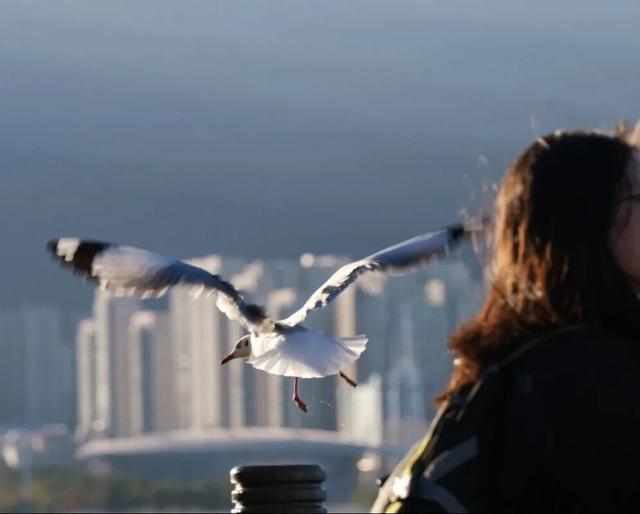 冬天在大理，要做这10件事！