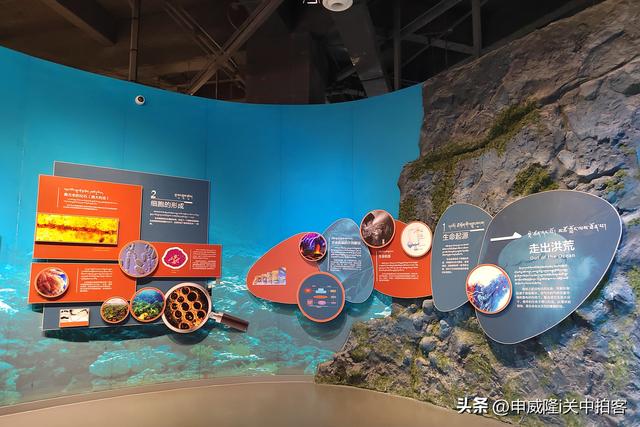 拉萨市：参观西藏自然科学博物馆