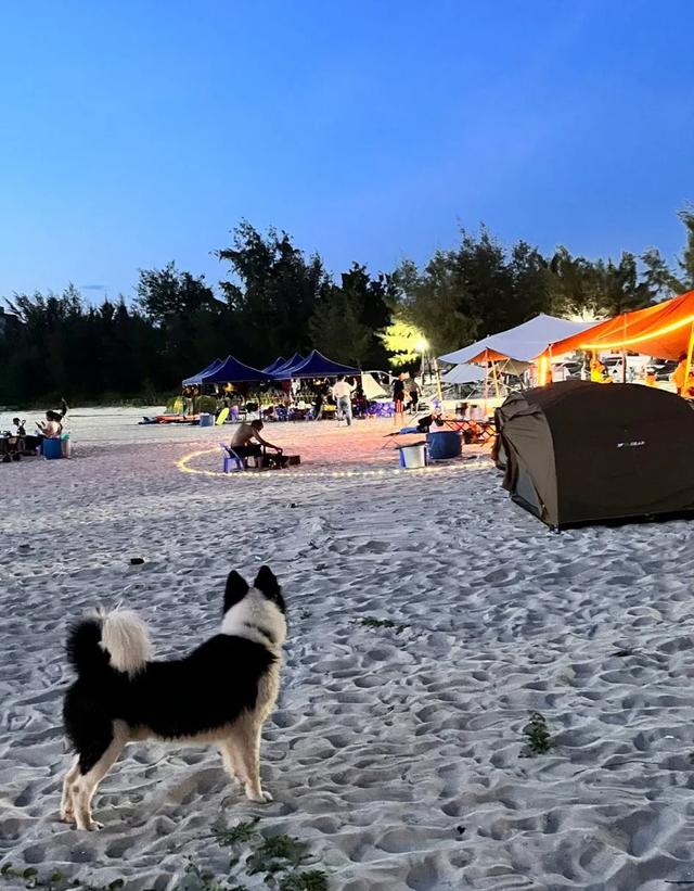 广东惠州海湾露营地你去过几个呢？很适合带小朋友来小众海滩！！