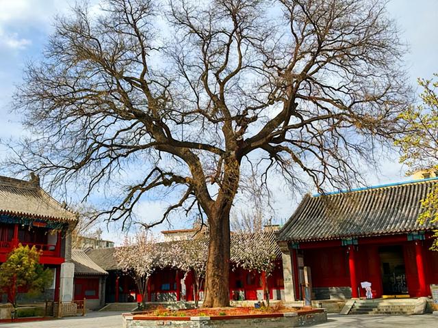 北京旅游：走进宣南文化博物馆记（图）