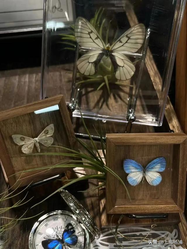 近百个街头市集，周末上复兴岛一站式“吃喝玩乐”