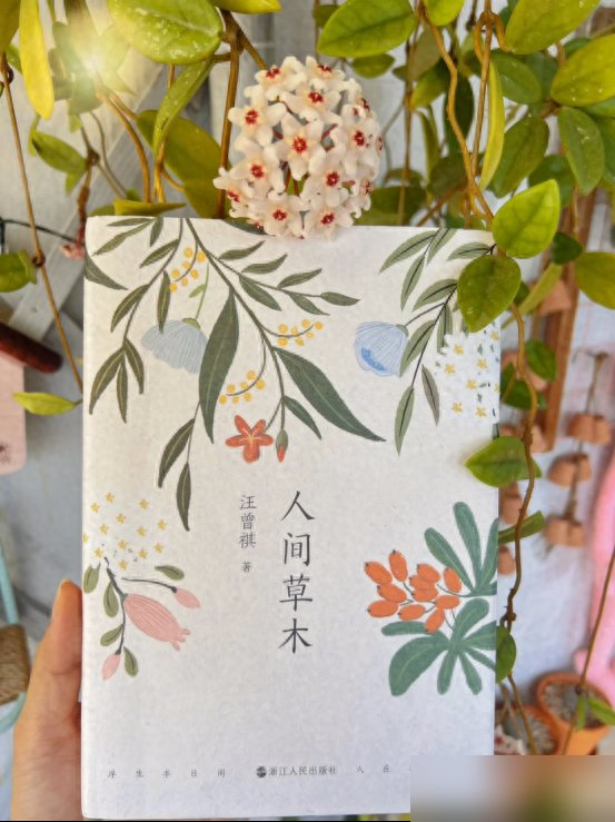 阴花不能进阳宅！这5种花“打死”也不养，家里若有？快挪走！