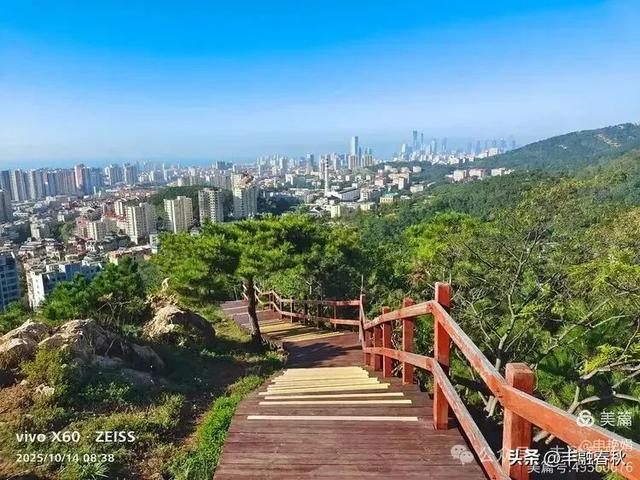 浮山漫记：藏在青岛城央的自然诗篇｜申艳娟
