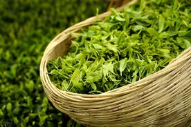 综合介绍茶叶十大排名品牌，推荐茶叶哪个牌子好图片