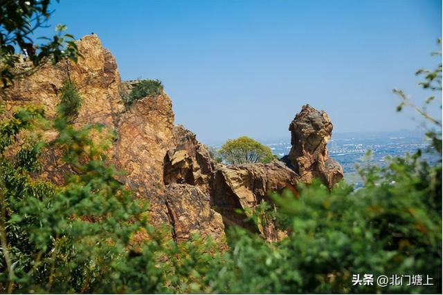 阳山村：从“桃香四溢”到“诗意栖居”的乡村谍变之路