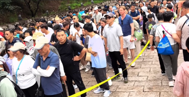 多名游客被蜜蜂蜇伤，蜂群为何攻击？景区暗藏触发机制？