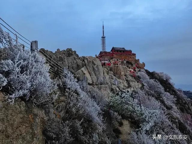 超震撼!气温骤降 泰山现秋日雾凇景观