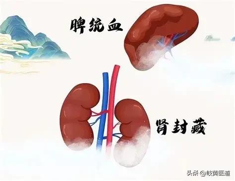 你不是懒，是阳气被封印了！教你千年妙方 元气补足，浑身就有劲了