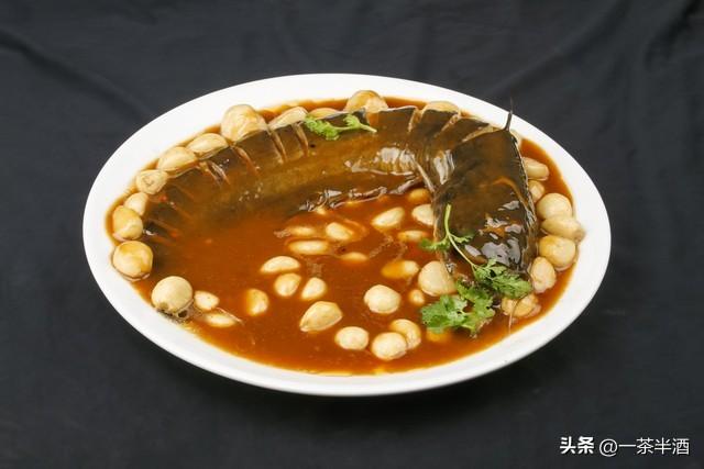 免费营地：广东江门市自驾车免费露营地，附热门景点及特色美食