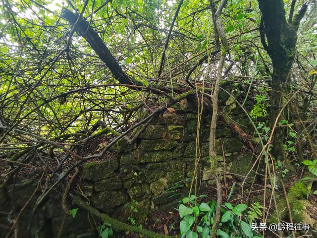 探寻龙眼山古寺遗址，一次最为艰难的野外探险之旅