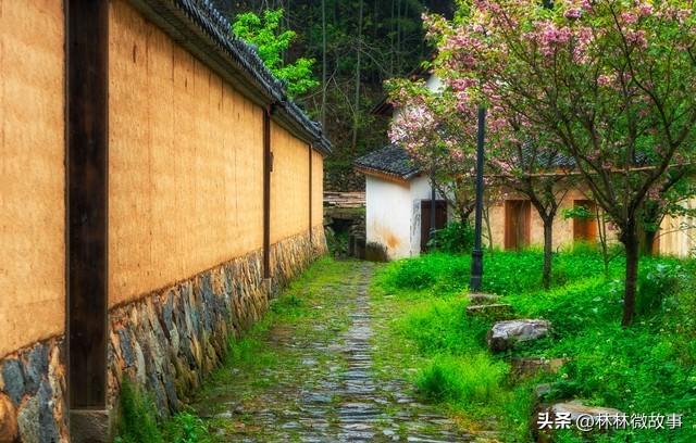 那年我下岗摆摊卖菜，遭女友嫌弃退婚，隔壁摊大娘把女儿介绍给我