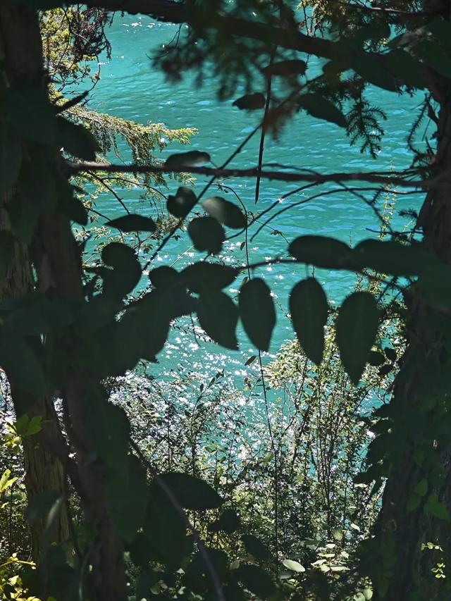海子映山，绿意漫岸，九寨沟牌“净化器”已上线~
