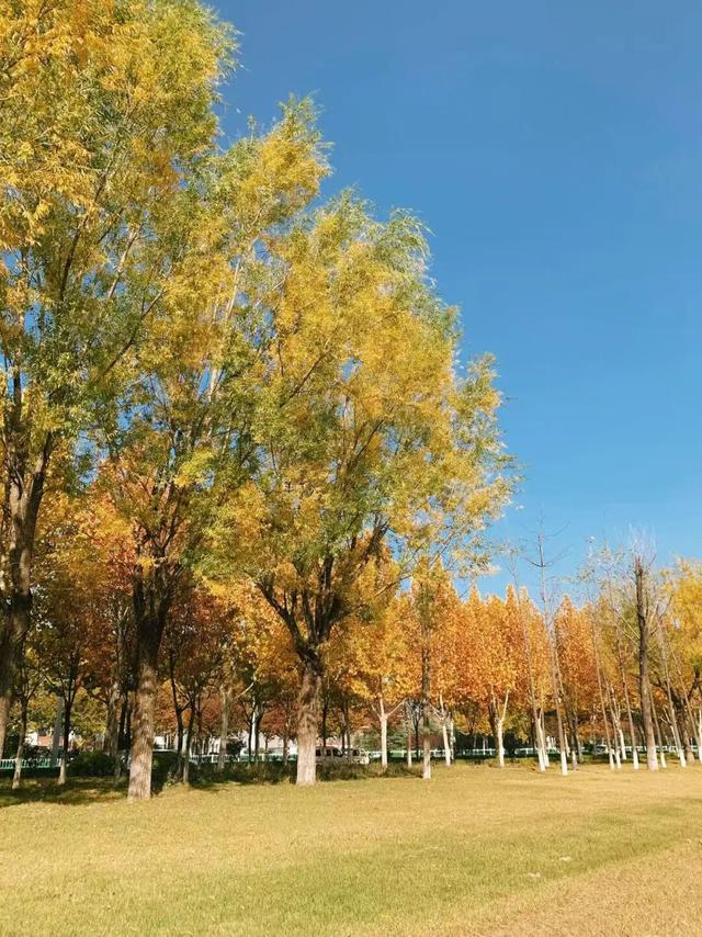 去公园，寻找城市的“书签”