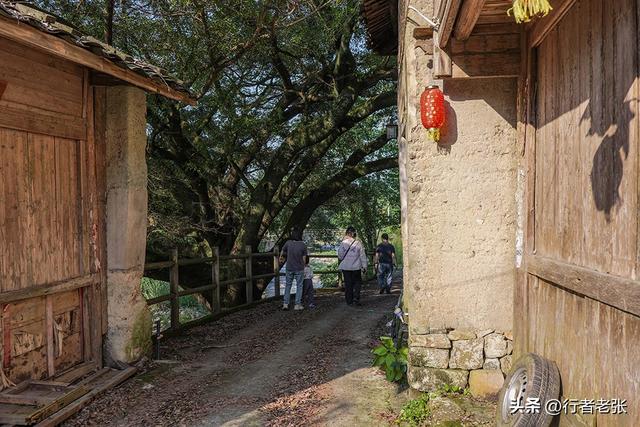 走遍福建古村落，霍童古镇一座因“石头”闻名的古村，名字都带石