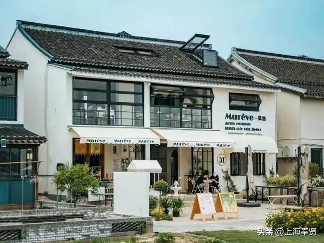 一键查收！“志愿星光 闪耀乡村”，上海市奉贤区12·5国际志愿者日主题活动邀请函