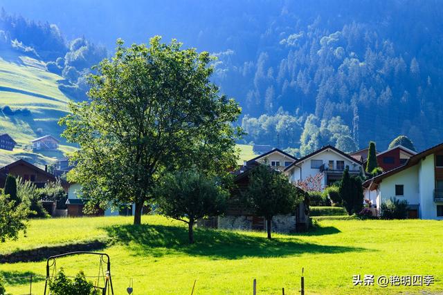 欧游杂记（4）‖ 从因特拉肯到卢塞恩，最大的惊喜是途中的龙疆