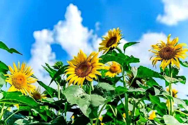 有这6个迹象，说明这个人很坏，要远离！