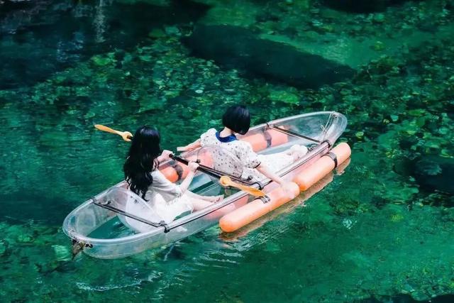 解锁牯牛降的文化密码 | 生态密码：绿色自然博物馆