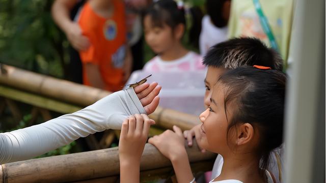 抓住暑期的尾巴！超多学子来到了鼎湖这里……
