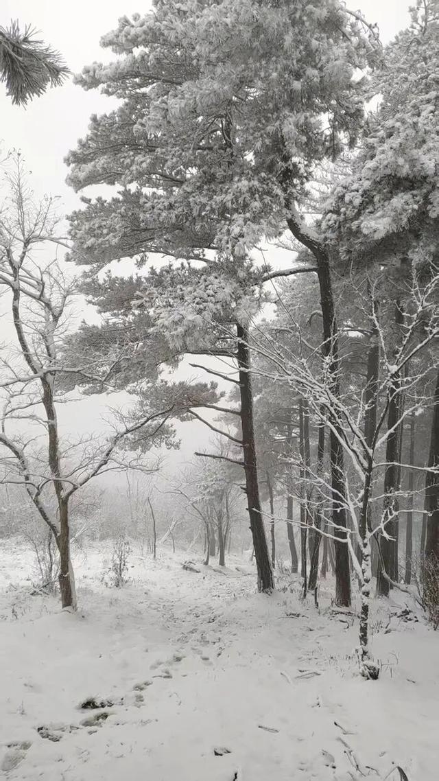 大雪暴雪	、中雨大雨要来了！