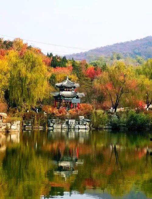 2025北京赏秋秘籍|避开人潮,独享紫禁城外的金色浪漫