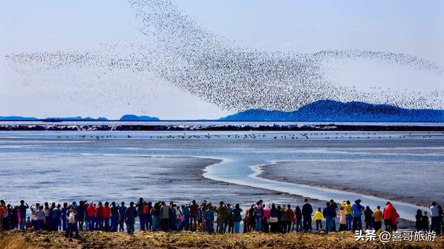 溯流鸭绿江：探秘长白南麓的冷水鱼王国