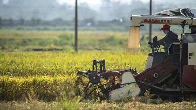 巴西大豆坐地起价？对华报价疯涨，中国买家集体停购：等两个时机