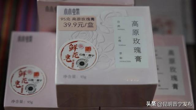 昆明云上花旅季：探访晋宁玫瑰的“云上蝶变”之路