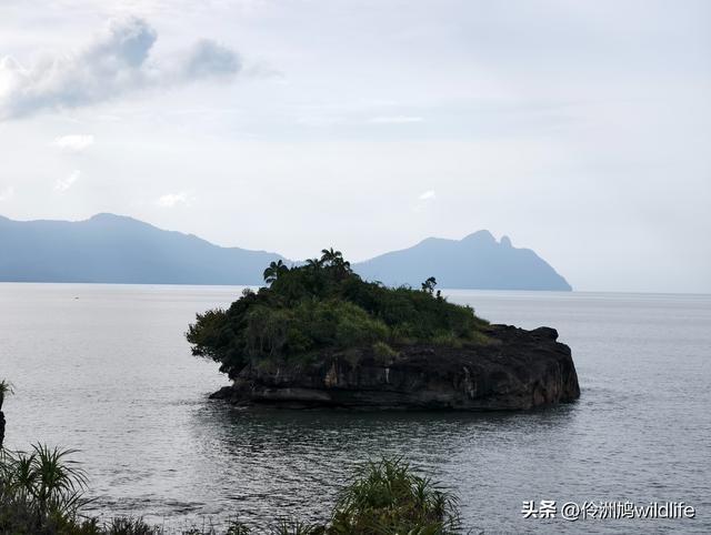 马来西亚(35)砂拉越州⑨峇哥国家公园徒步线路
