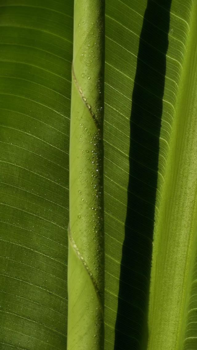 国家对8大扶持产业曝光，普通人不用靠大资本就能蹭上红利！