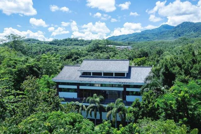 天冷就来保亭泡温泉！把日子泡得热气腾腾